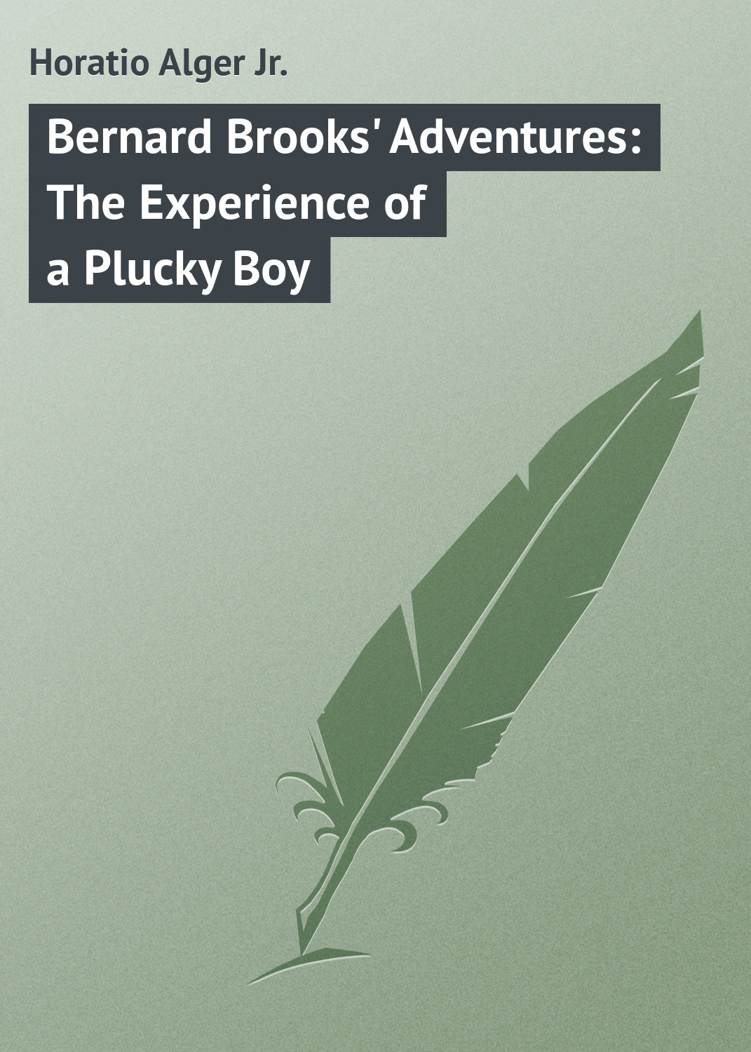 Bernard Brooks'Adventures: The Experience of a Plucky Boy