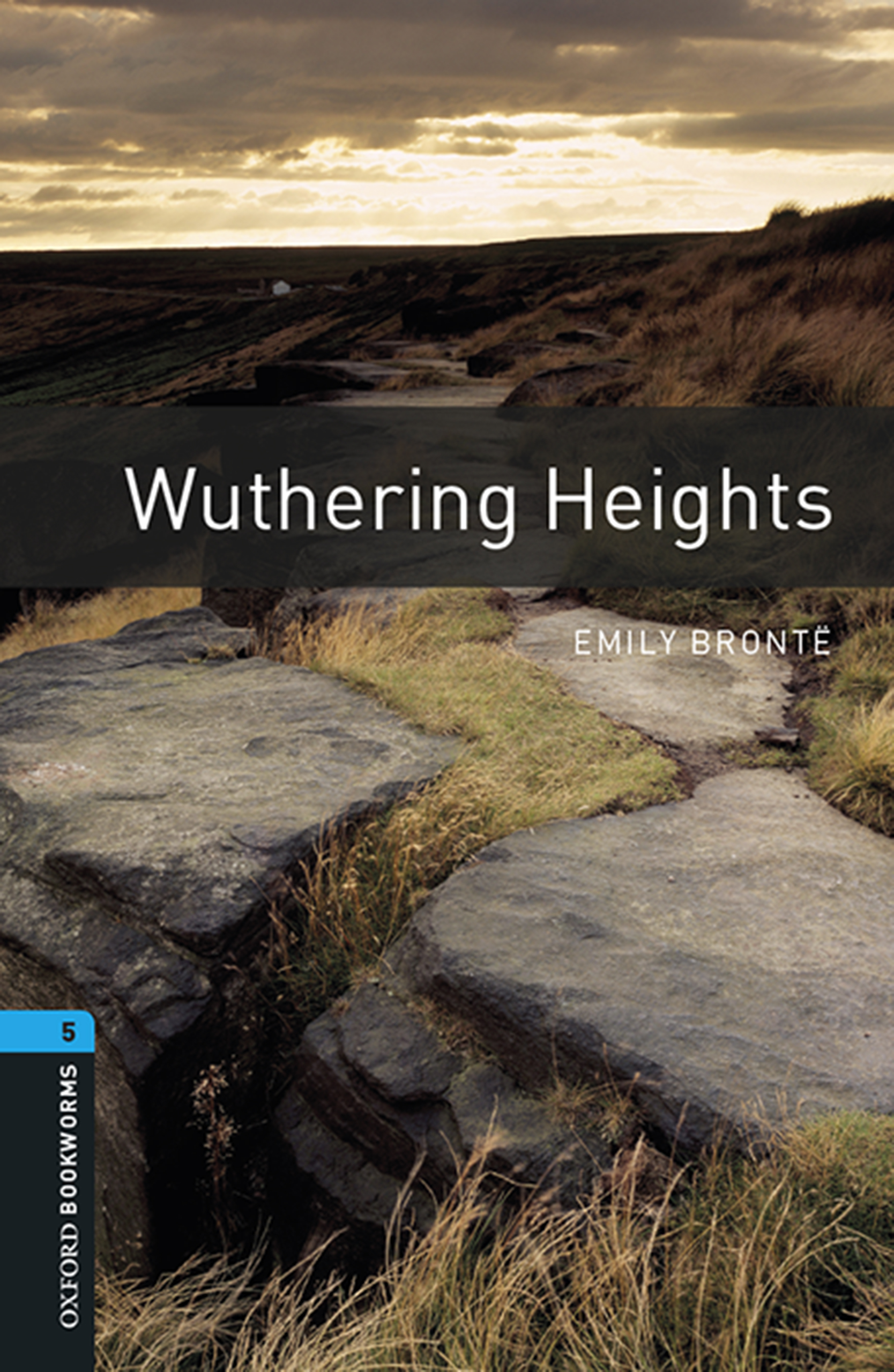 Книга Wuthering Heights из серии , созданная Emily Bronte, может относится к жанру Зарубежная образовательная литература, Иностранные языки, Иностранные языки. Стоимость электронной книги Wuthering Heights с идентификатором 23573510 составляет 405.87 руб.