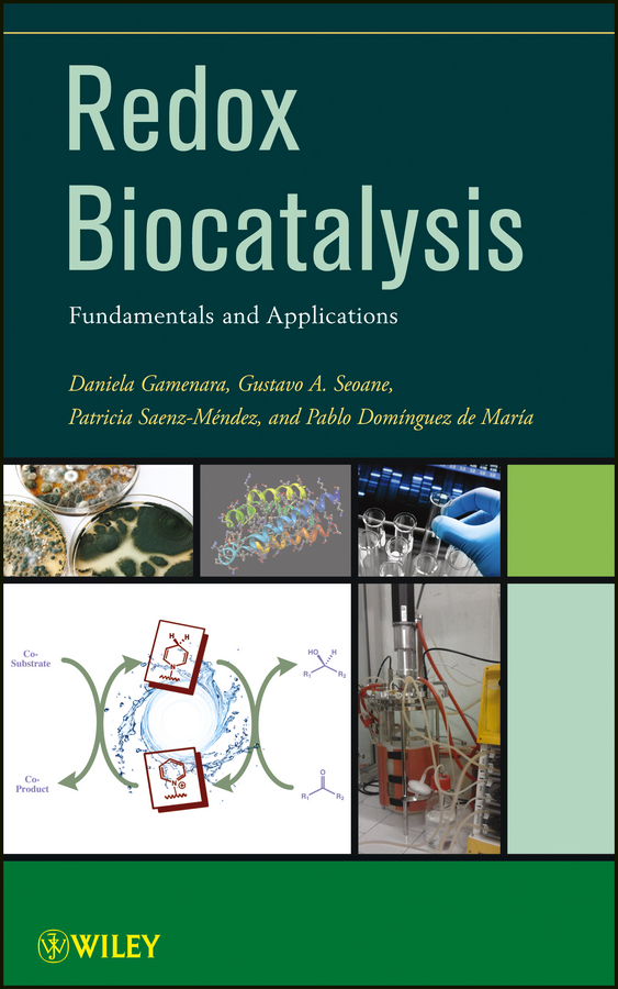 Redox Biocatalysis. Fundamentals and Applications