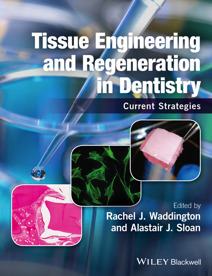 Tissue Engineering and Regeneration in Dentistry. Current Strategies
