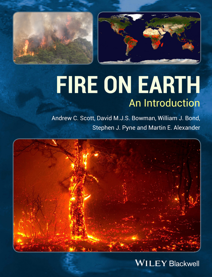Fire on Earth. An Introduction