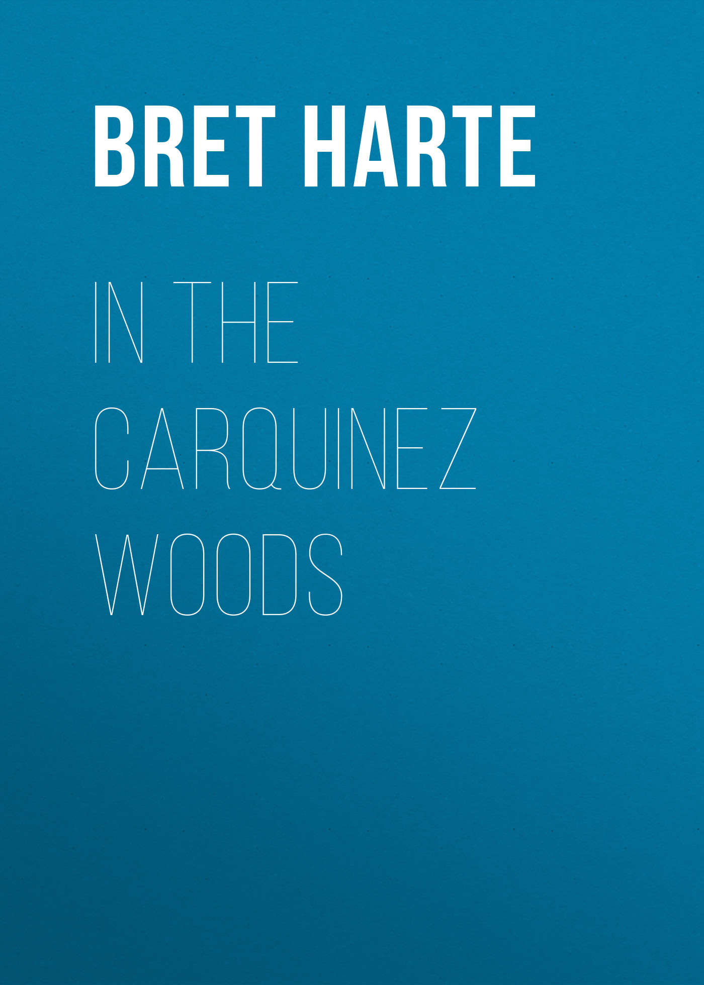 Книга In the Carquinez Woods из серии , созданная Bret Harte, может относится к жанру Зарубежная фантастика, Литература 19 века, Зарубежная старинная литература, Зарубежная классика. Стоимость электронной книги In the Carquinez Woods с идентификатором 36323012 составляет 0 руб.