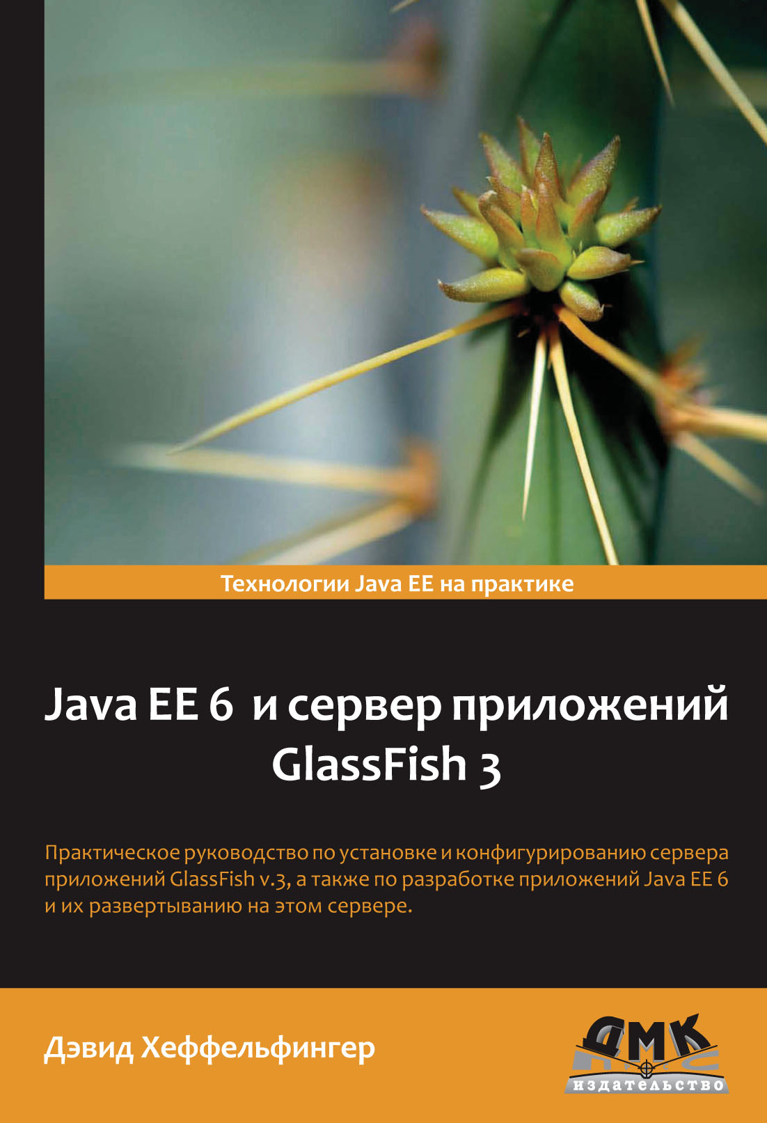 Java EE 6и сервер приложений GlassFish 3