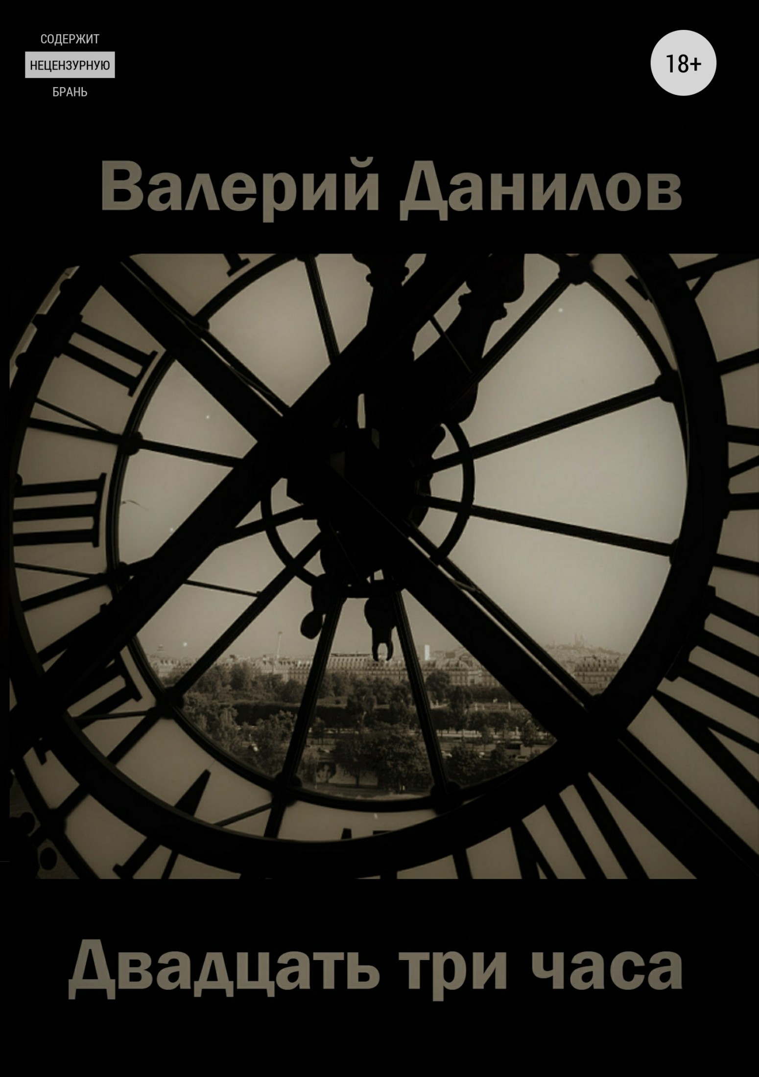 Валерий Данилов Двадцать три часа
