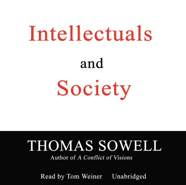 Intellectuals and Society