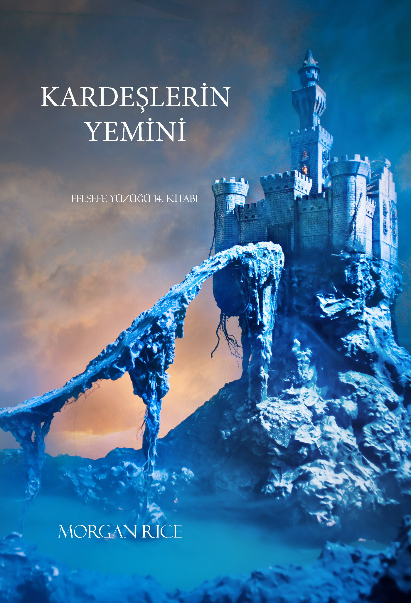 все цены на Морган Райс Kardeşlerin Yemini онлайн