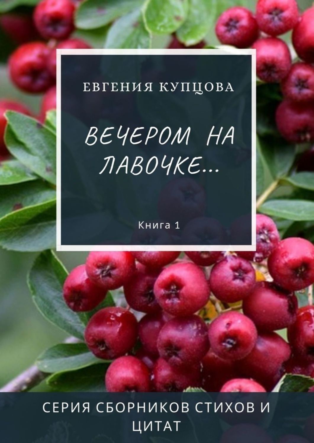 

Вечером на лавочке… Серия сборников стихов и цитат. Книга 1