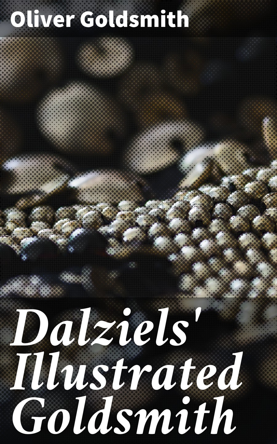 Dalziels' Illustrated Goldsmith