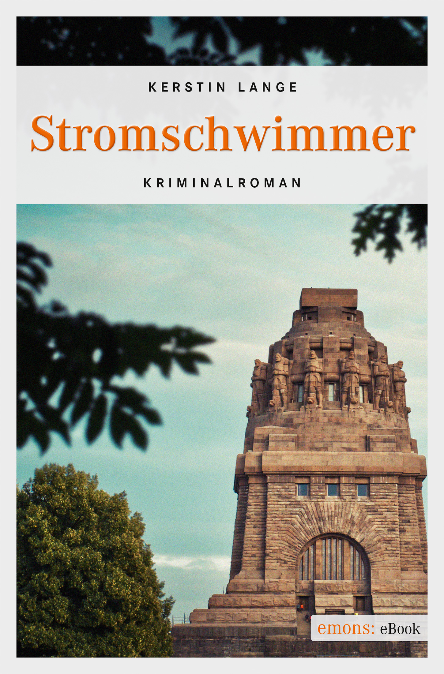 

Stromschwimmer