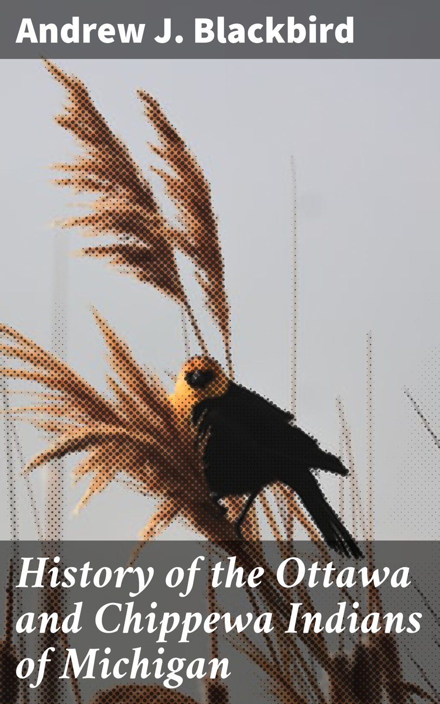 Andrew J. Blackbird History of the Ottawa and Chippewa Indians of Michigan