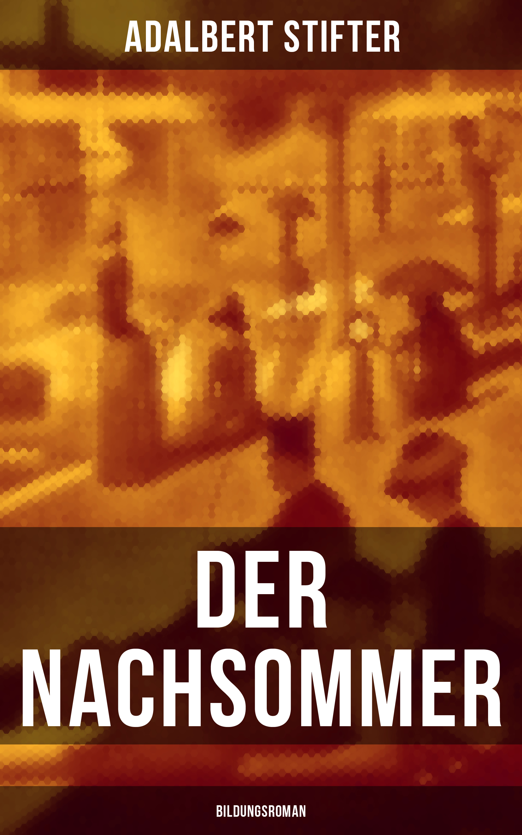 Der Nachsommer: Bildungsroman