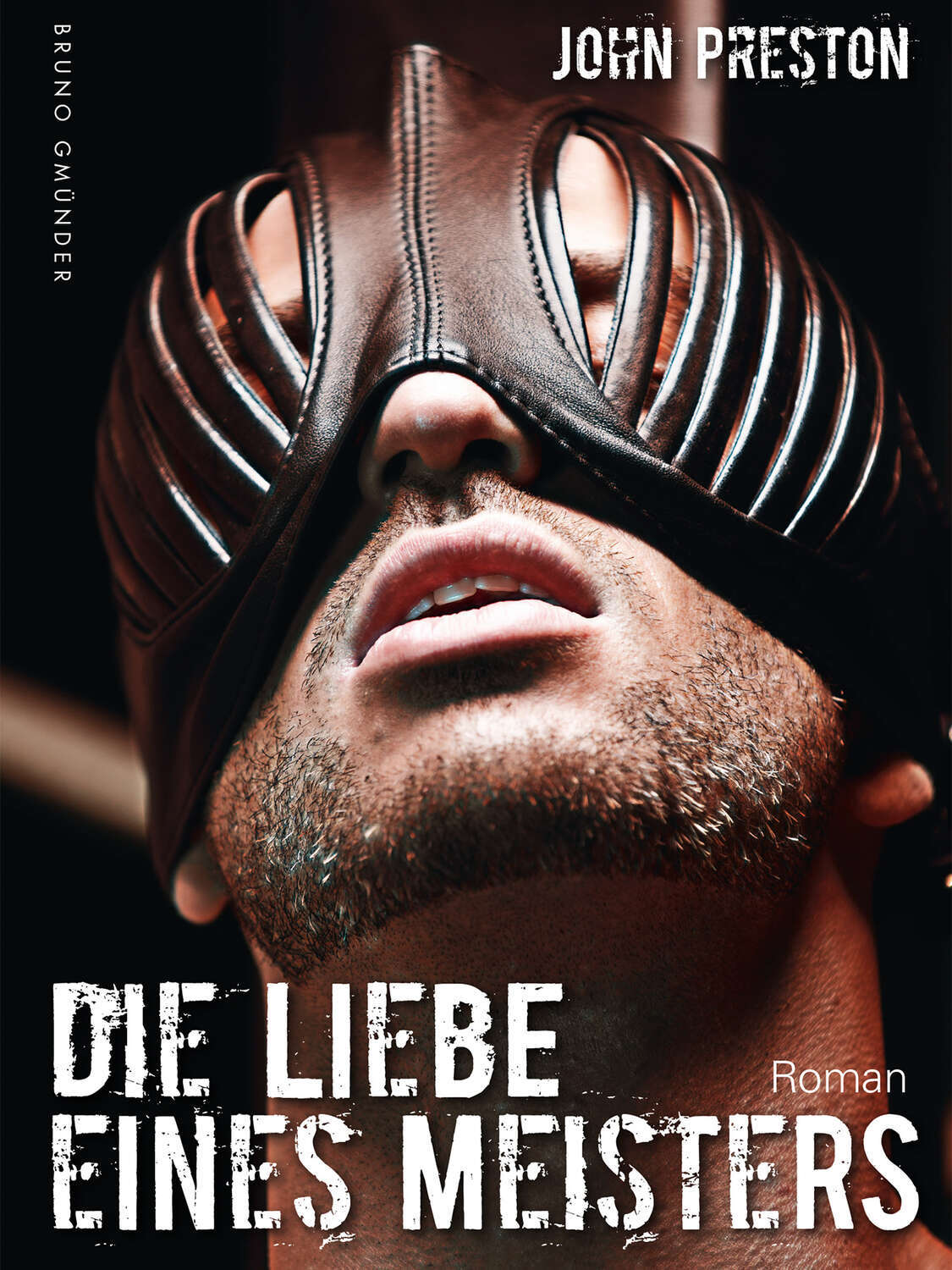 

Die Liebe eines Meisters (Klassiker der schwulen SM-Literatur)