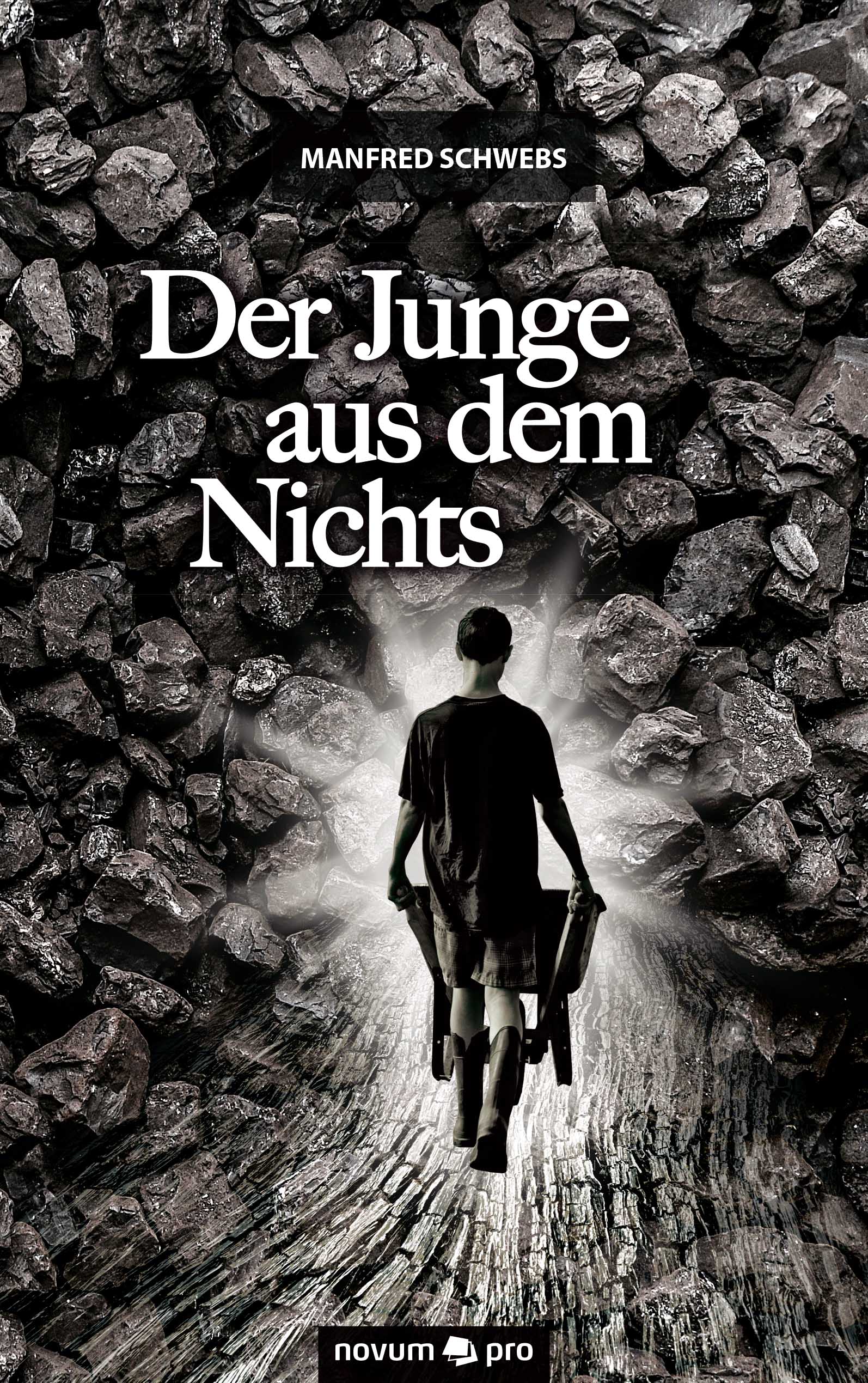 цены Manfred Schwebs Der Junge aus dem Nichts