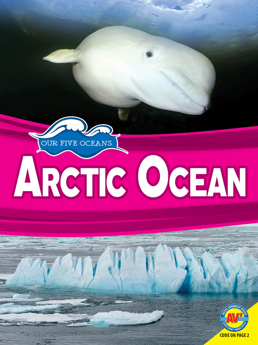 Arctic Ocean