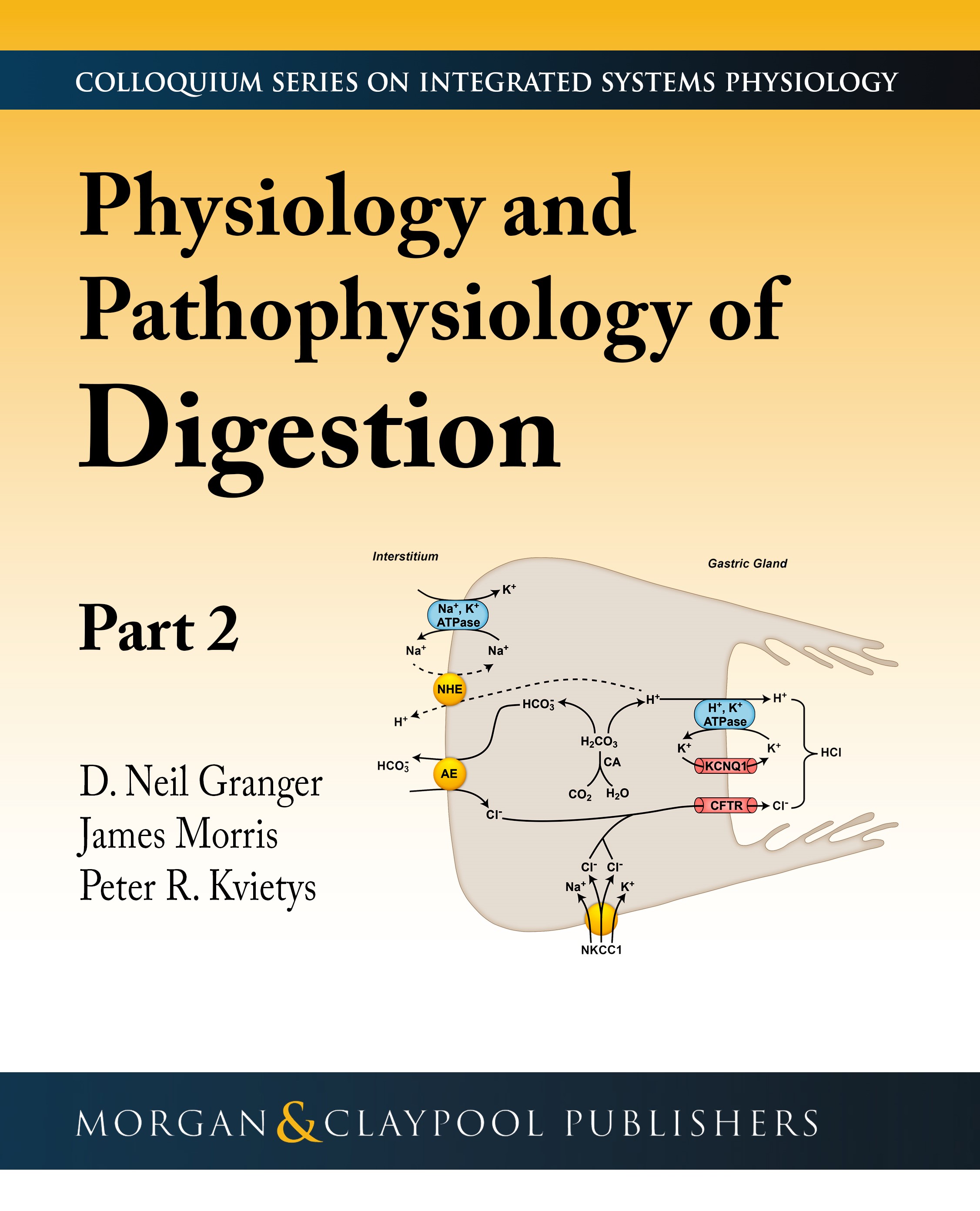 Physiology and Pathophysiology of Digestion