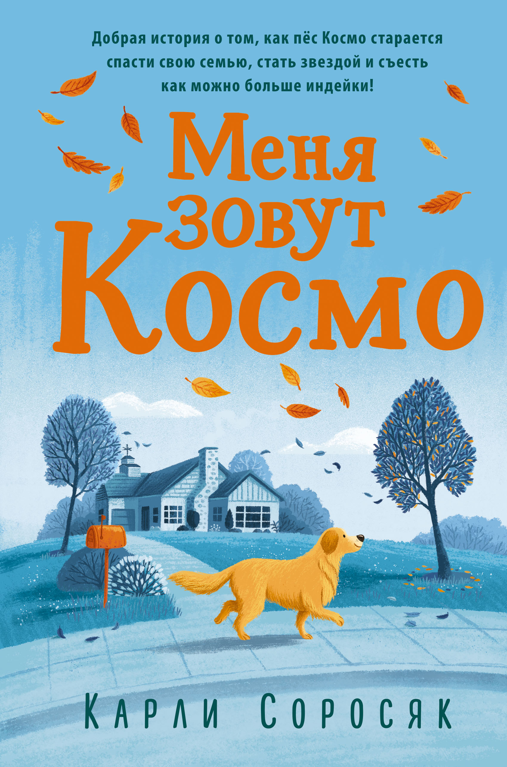 Меня зовут Космо, Карли Соросяк – скачать книгу fb2, epub, pdf на ЛитРес