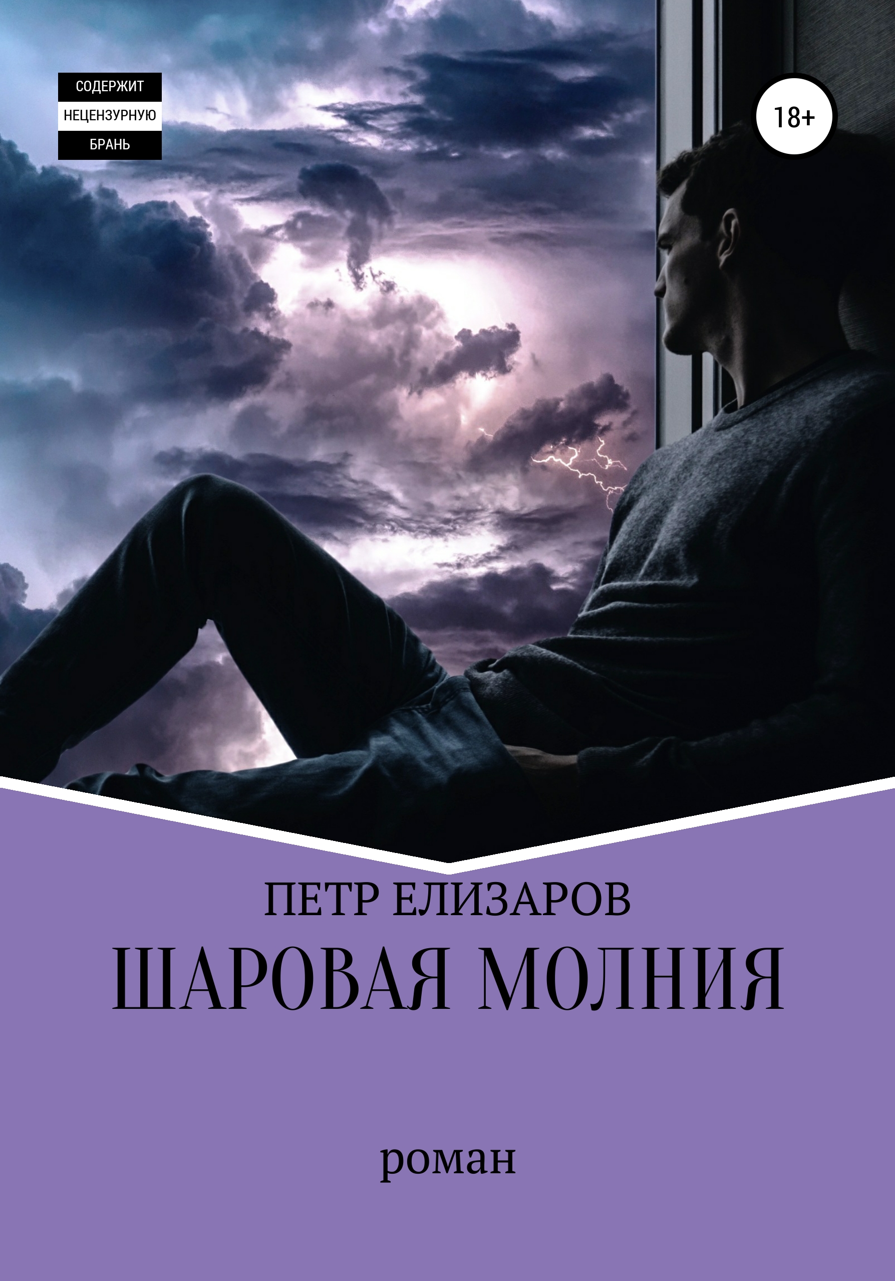 Шаровая молния, Петр Анатольевич Елизаров – скачать книгу бесплатно fb2,  epub, pdf на ЛитРес