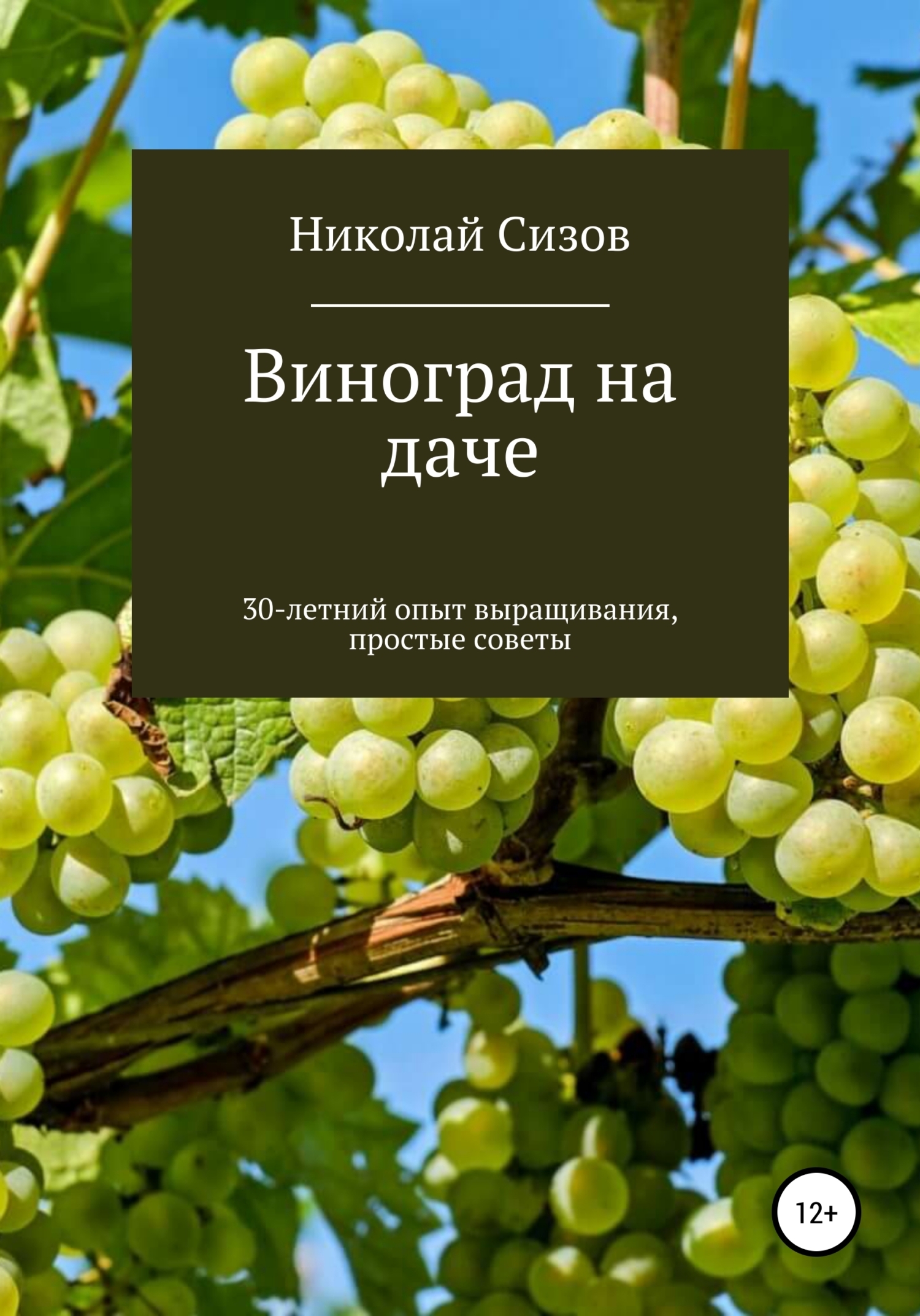 Как вырастить виноград на даче в Средней полосе России, Николай Витальевич  Сизов – скачать книгу бесплатно fb2, epub, pdf на ЛитРес