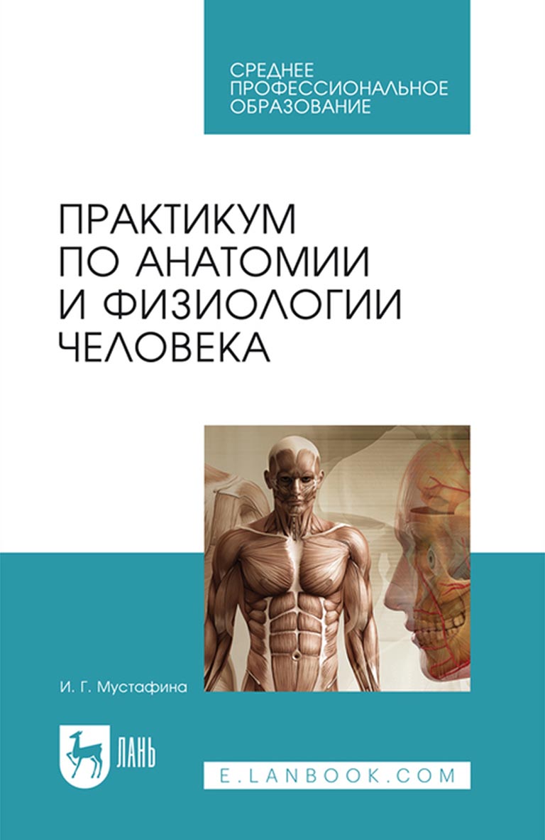 «Практикум по анатомии и физиологии человека. Учебное пособие для СПО» – И.  Г. Мустафина | ЛитРес