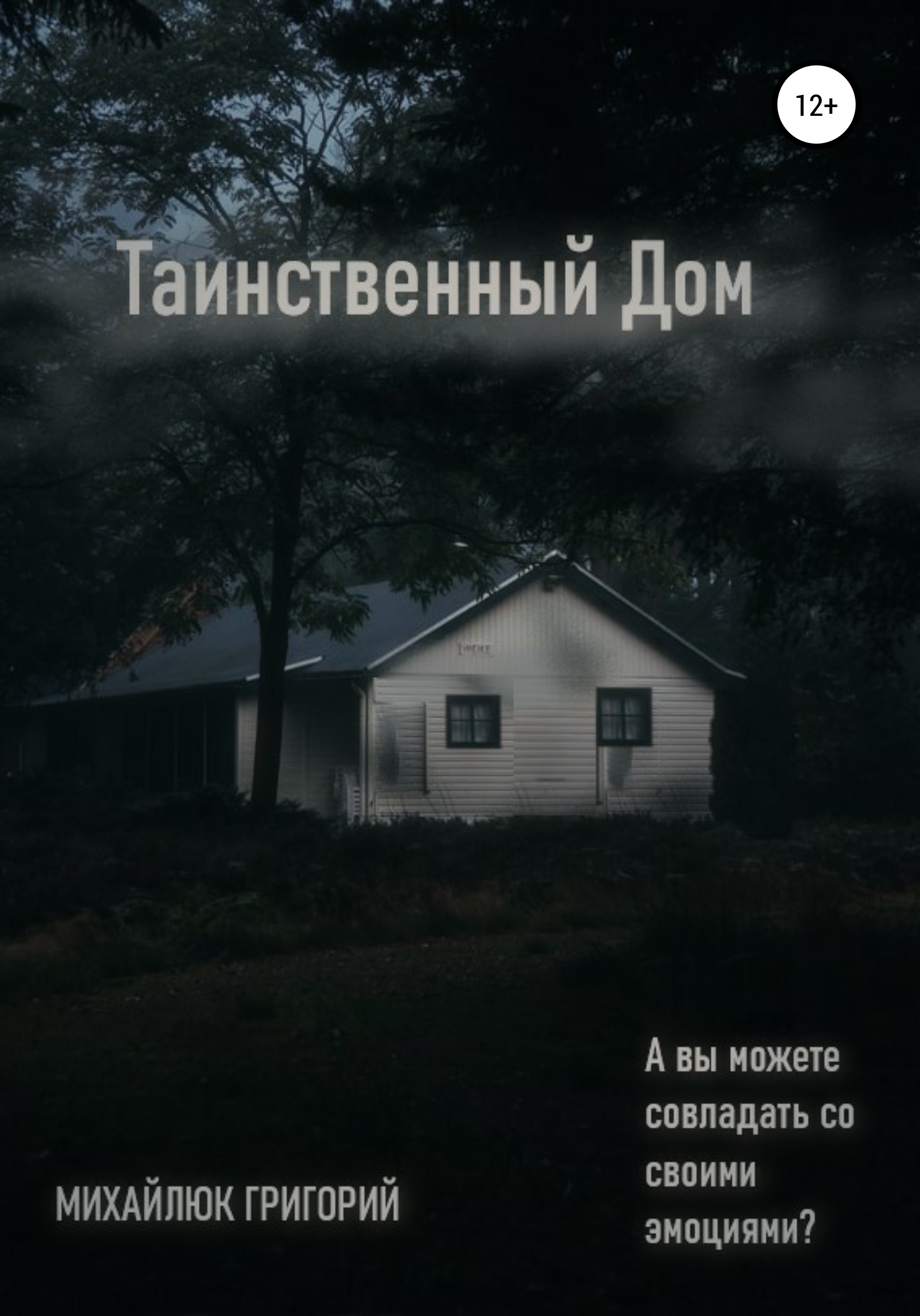 Таинственный дом, Григорий Михайлюк – скачать книгу бесплатно fb2, epub,  pdf на ЛитРес