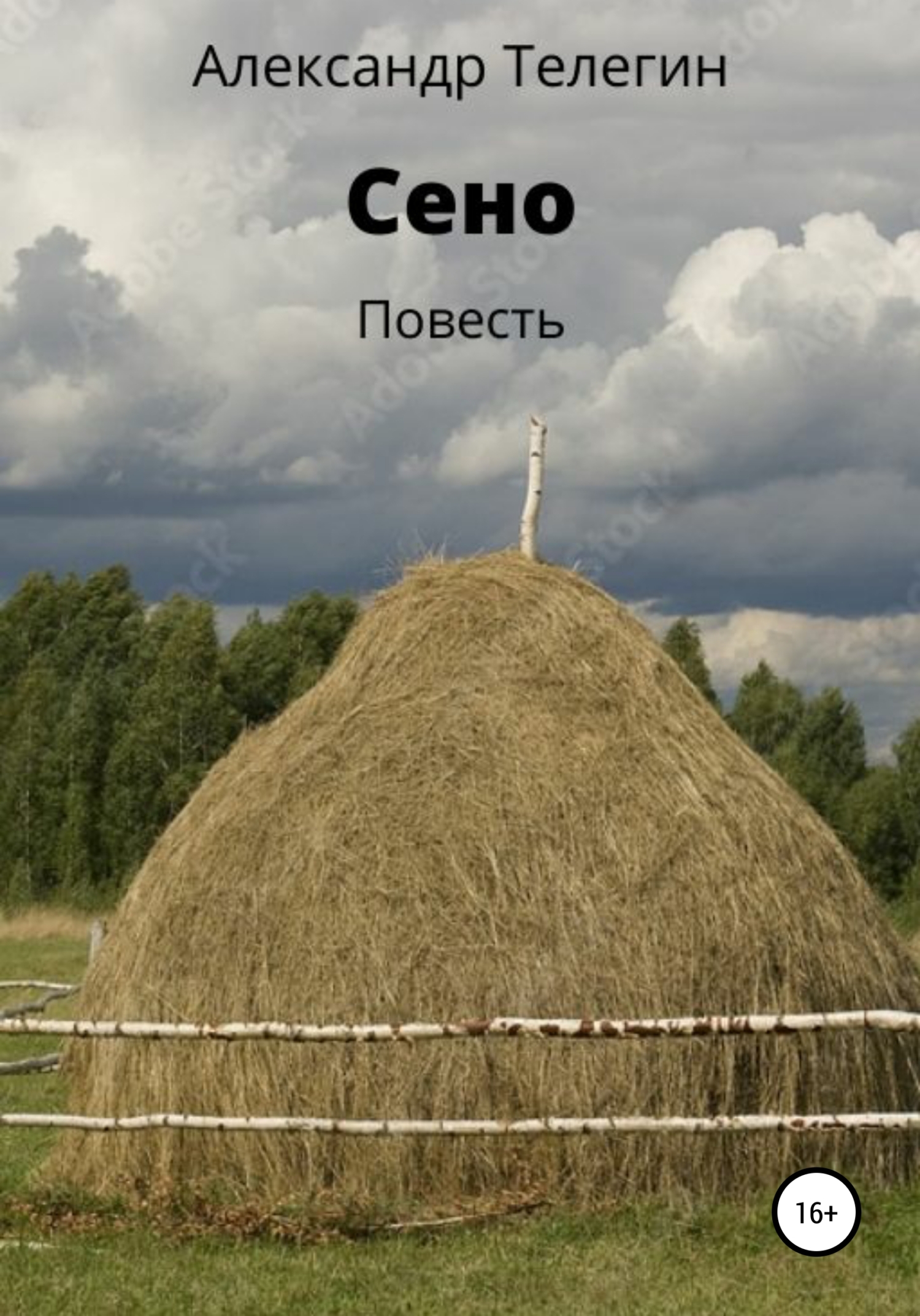 «Сено. Повесть» – Александр Александрович Телегин | ЛитРес