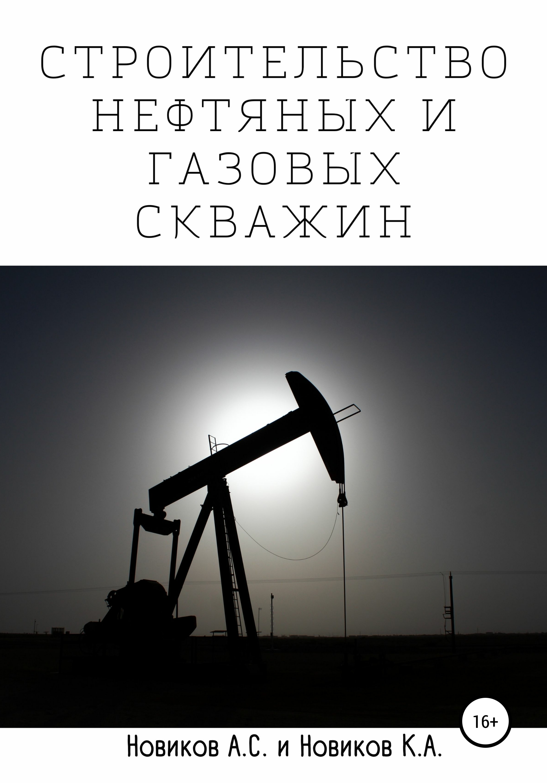 «Строительство нефтяных и газовых скважин» – А. С. Новиков | ЛитРес