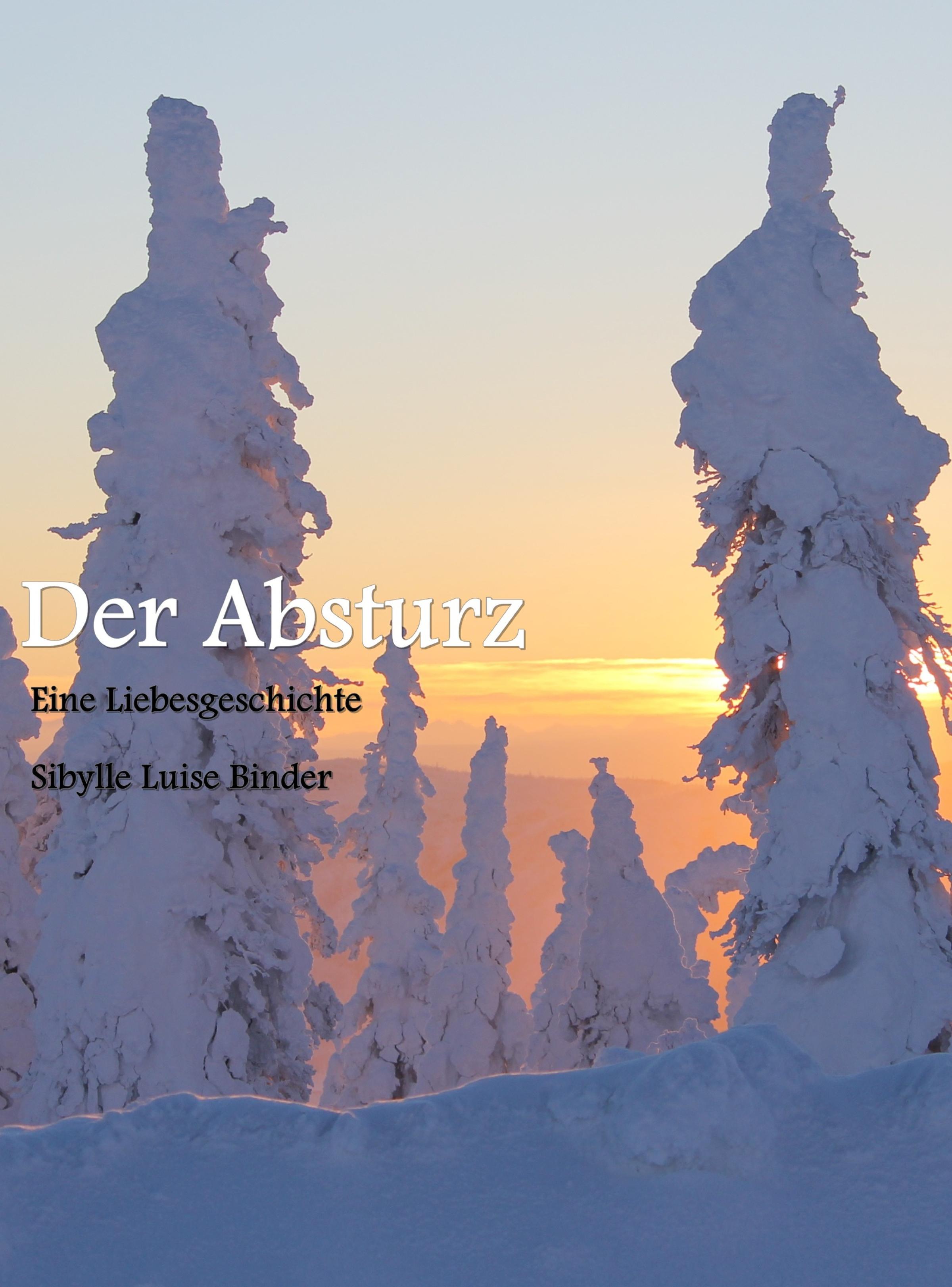 Читать онлайн «Der Absturz», Sibylle Luise Binder – Литрес