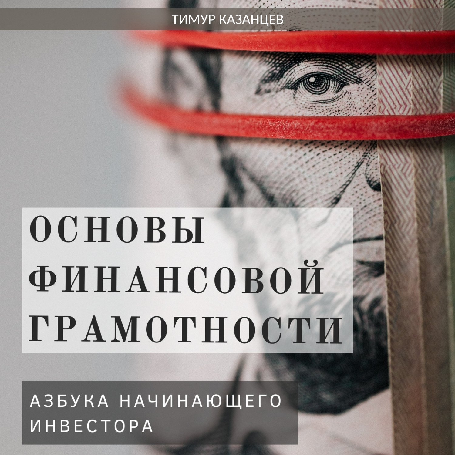 Аудиокнига Основы финансовой грамотности. Азбука начинающего инвестора ...