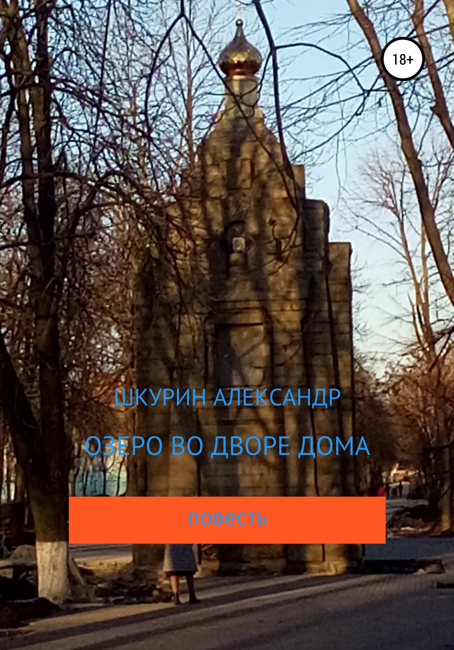 Озеро во дворе дома, Александр Шкурин – скачать книгу бесплатно fb2, epub,  pdf на ЛитРес