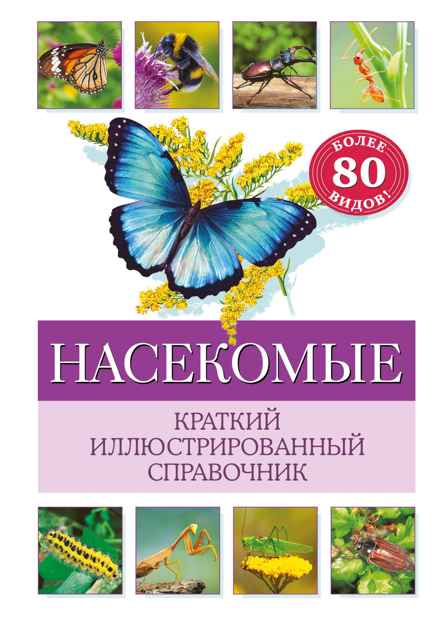 Насекомые. Краткий иллюстрированный справочник, Бэрбель Офтринг – скачать  pdf на ЛитРес