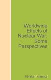 Worldwide Effects of Nuclear War: Some Perspectives