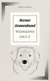 Berner Sennenhund - Wissenswertes von A-Z