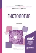 Гистология 2-е изд., испр. и доп. Учебное пособие для вузов - Татьяна Евгеньевна Золотова