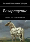 Возвращение. Судьба, как капельки воды - Василий Васильевич Зубарев