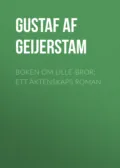 Boken om lille-bror: Ett äktenskaps roman - Gustaf af Geijerstam