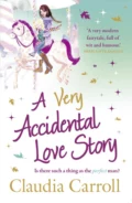 A Very Accidental Love Story - Claudia  Carroll