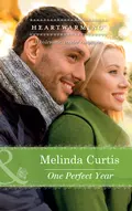 One Perfect Year - Melinda  Curtis