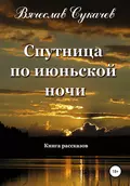 Спутница по июньской ночи - Вячеслав Викторович Сукачев