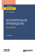 Исполнительное производство. Практикум 2-е изд. Учебное пособие для вузов - Михаил Львович Гальперин