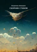 Сборник стихов. Лучшее 2001–06 - Владимир Юрьевич Шкрадюк