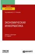 Экономическая информатика 2-е изд. Учебник и практикум для вузов - Василий Петрович Косарев