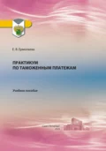 Практикум по таможенным платежам - Елена Вячеславовна Ермолаева