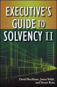 Executive\'s Guide to Solvency II