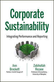 Corporate Sustainability. Integrating Performance and Reporting
