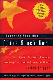 Becoming Your Own China Stock Guru. The Ultimate Investor\'s Guide to Profiting from China\'s Economic Boom