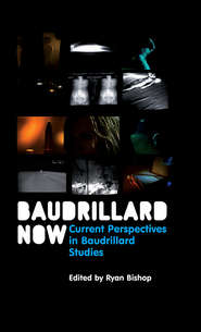 Baudrillard Now. Current Perspectives in Baudrillard Studies