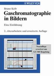 Gaschromatographie in Bildern. Eine Einführung