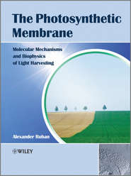 The Photosynthetic Membrane. Molecular Mechanisms and Biophysics of Light Harvesting