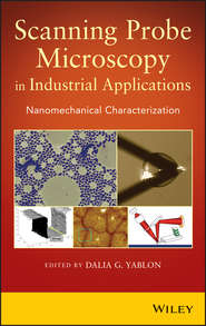 Scanning Probe Microscopy¿in Industrial Applications