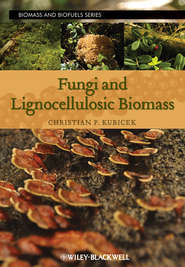 Fungi and Lignocellulosic Biomass